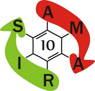 Logo AMARIS'10