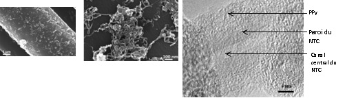 Images de microscopie lectronique  diffrentes chelles de nanotubes de carbone enrobs par une couche de polypyrrole (PPy) par synthse lectrochimique sur fibre de carbone.