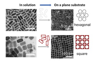 Colloidal design of standing lattice of NPs 